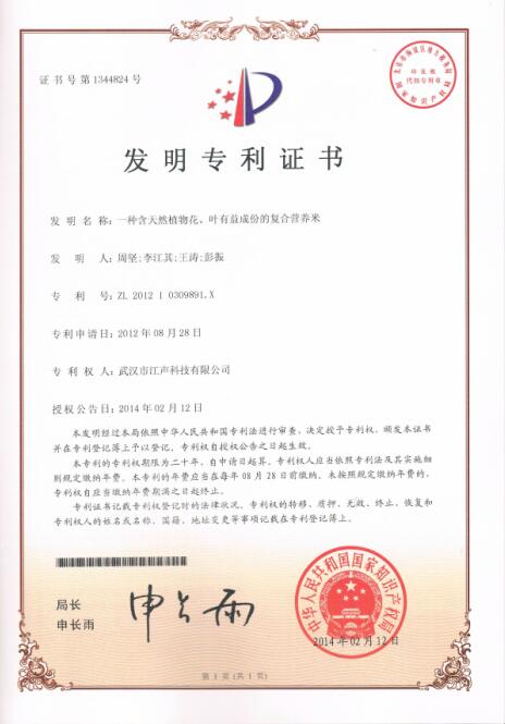 专利3.jpg