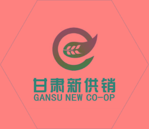 甘肃新供销